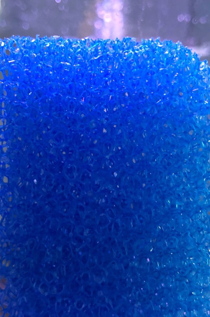 Esponja para filtragem do aquário