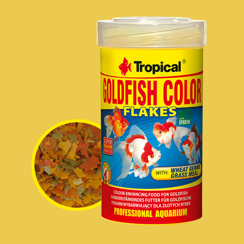 Tropical goldfish shop color flakes